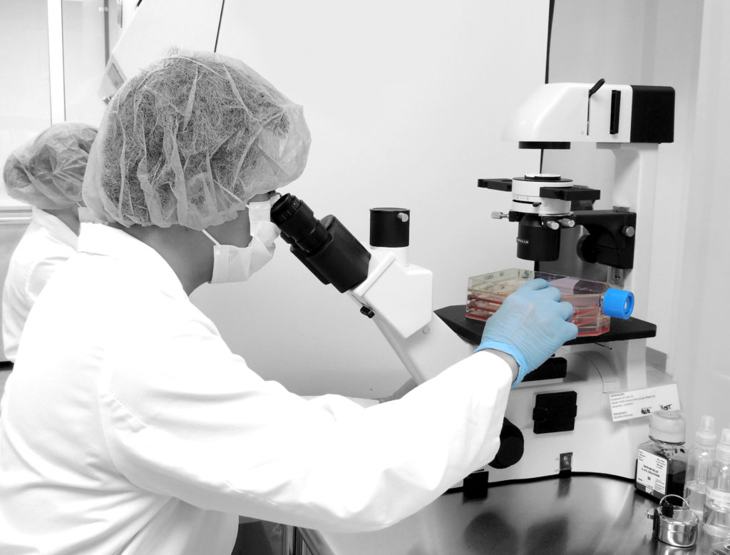 Storing Your Stem Cells: A Medical Revolution