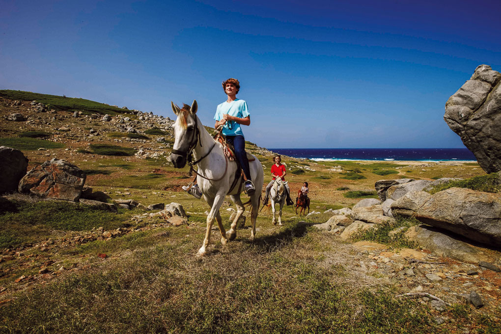 Horseback riding Aruba