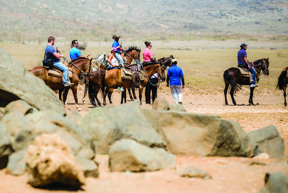 Best activities and watersports to do on Aruba - Horseback riding on Aruba