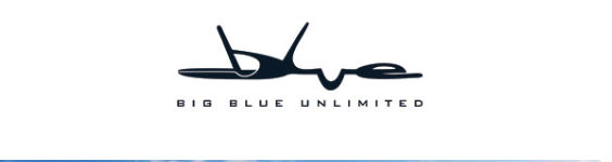 Big blue logo copy