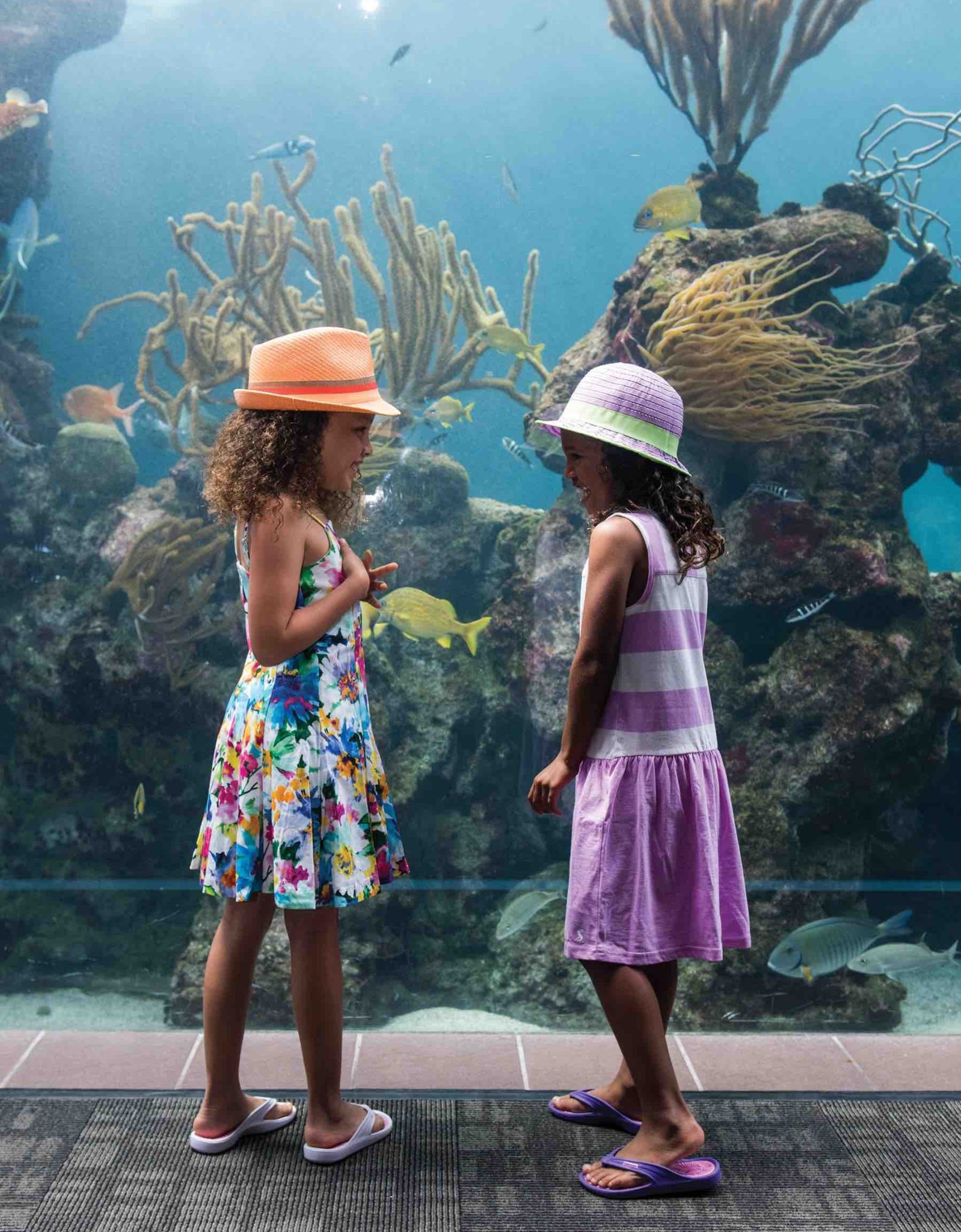 The Bermuda Aquarium, Museum and Zoo
