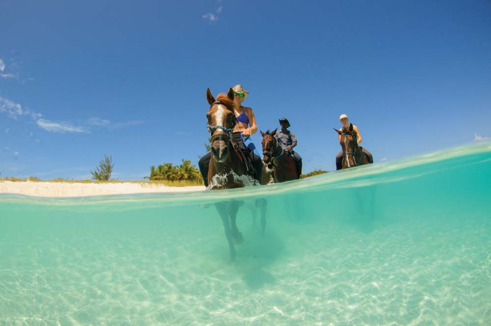 Exploring Turks and Caicos by horseback