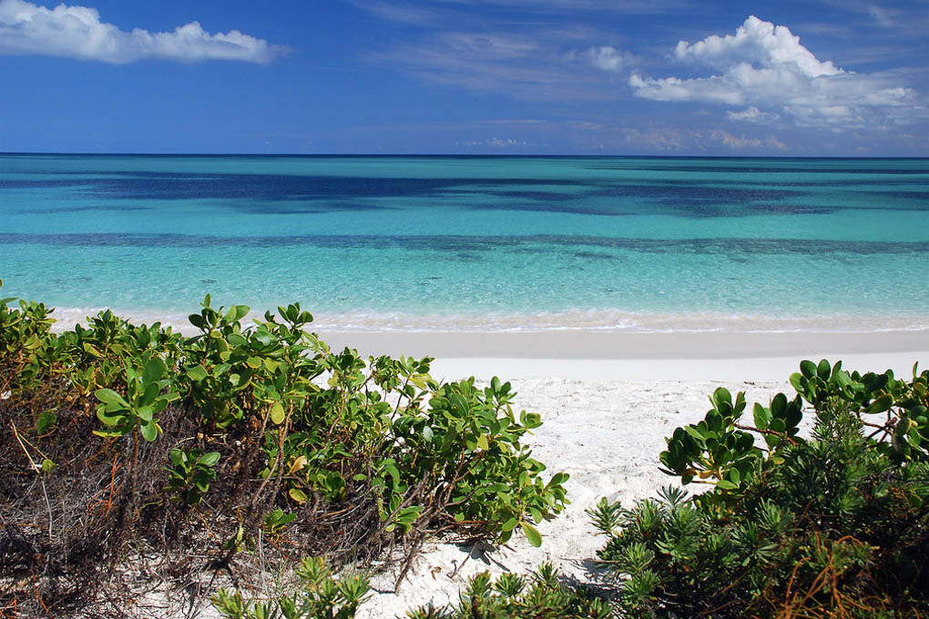 Ultimate travel + vacation guide to South Caicos