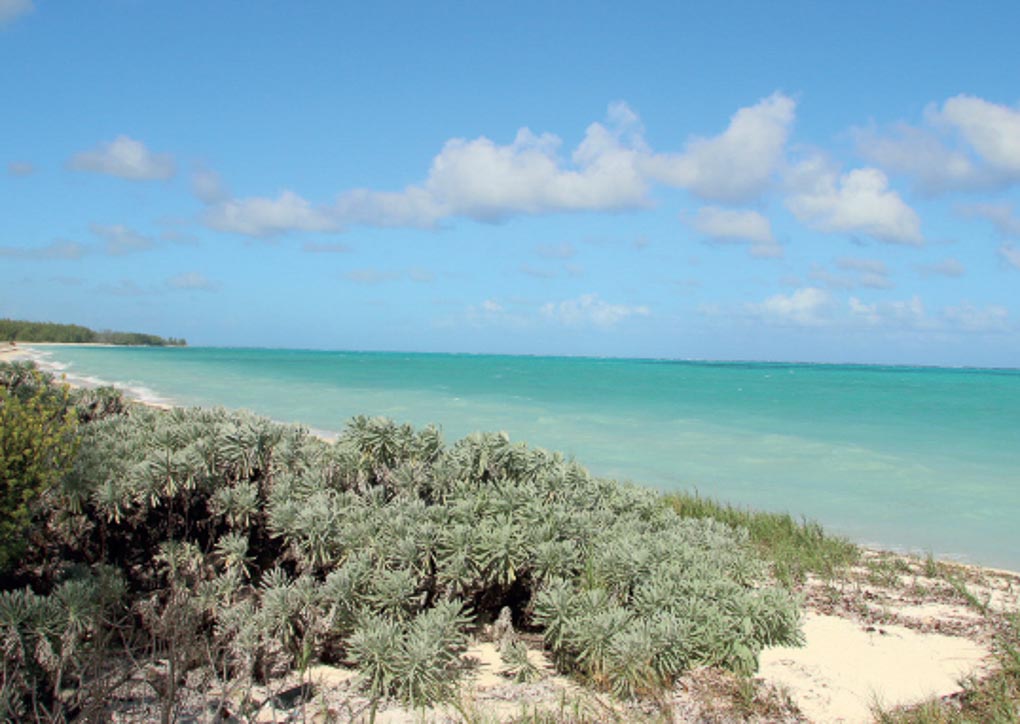 Ultimate travel guide to North and Middle Caicos (3 of 11)