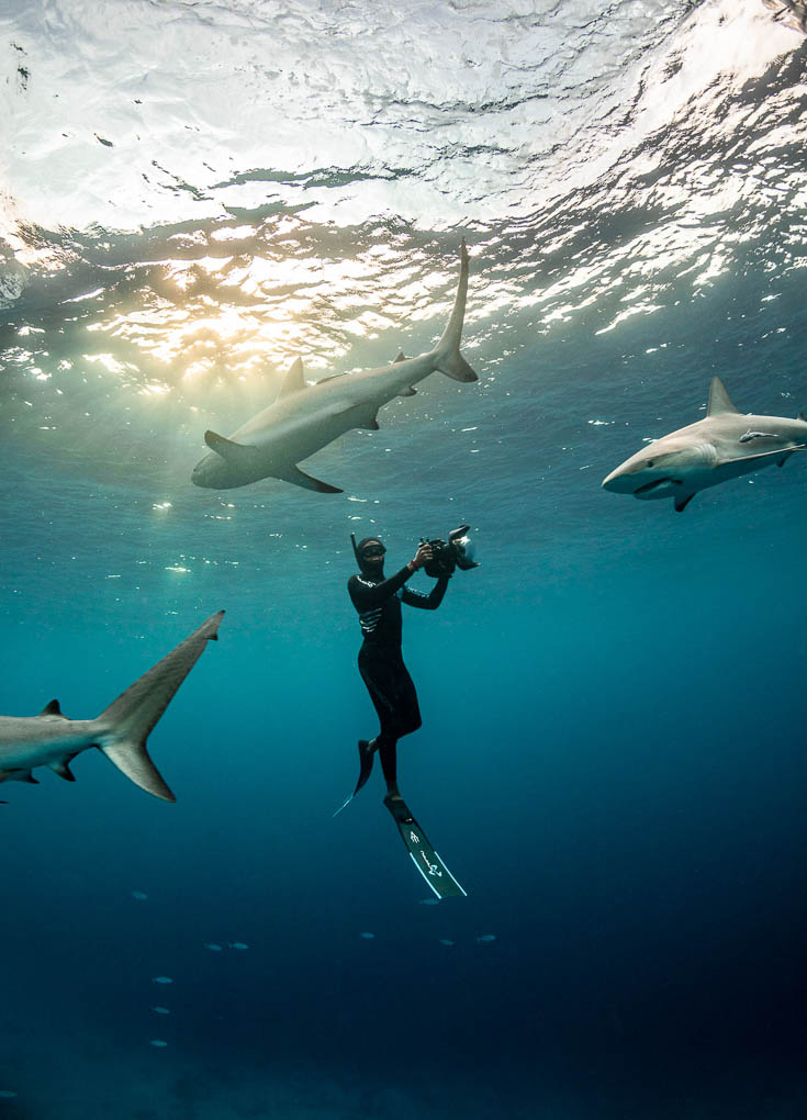 Diving with sharks in the Bahamas