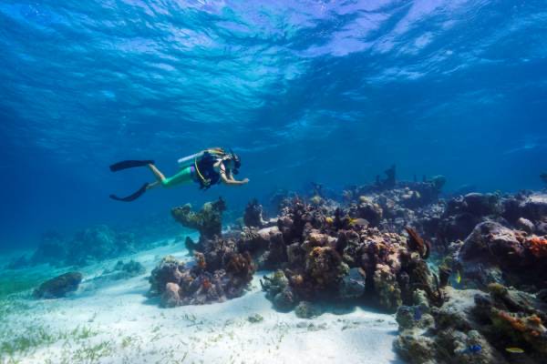 Scuba Diving Turks & Caicos