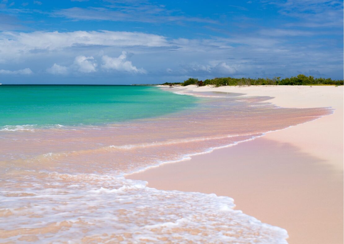 Pink Sands Beach bahamas 
